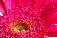 20090930-IMG_9228